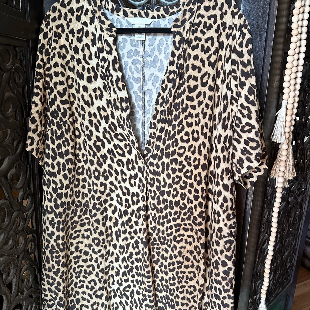 H&M Animal Print V-Neck Blouse